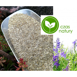 Tarczyca Bajkalska super rozdrobniony korzeń 